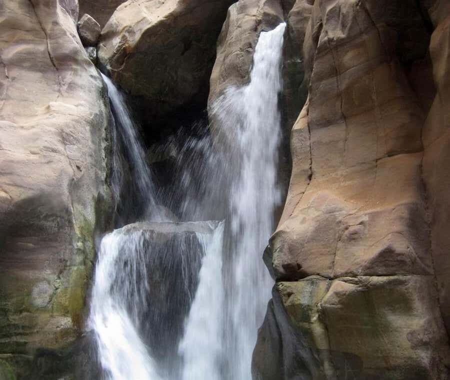 From Amman:To Al-Mujib Canyon & Dead Sea Salt Beach Day Trip - Who This Amman Trip Is Best For (and Who Should Pass)