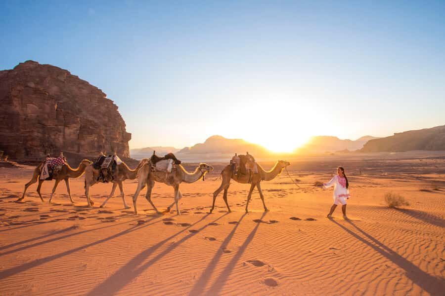 From Aqaba: Jeep Tour to Wadi Rum Desert - Key Points You’ll Care About