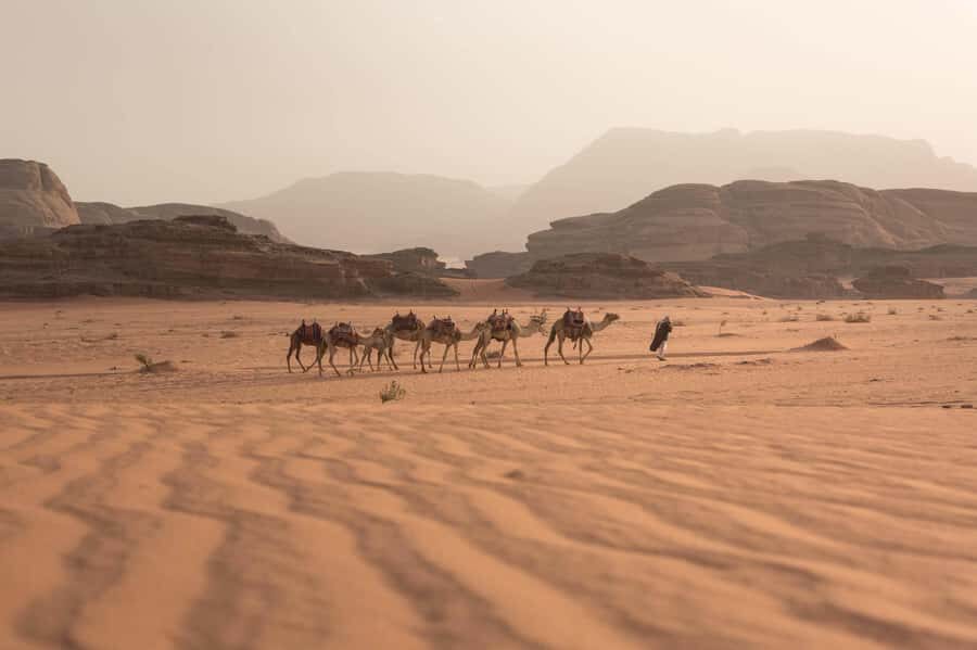 From Eilat, Jerusalem, Tel Aviv: Petra & Wadi Rum 3-Day Tour - Key takeaways before you go
