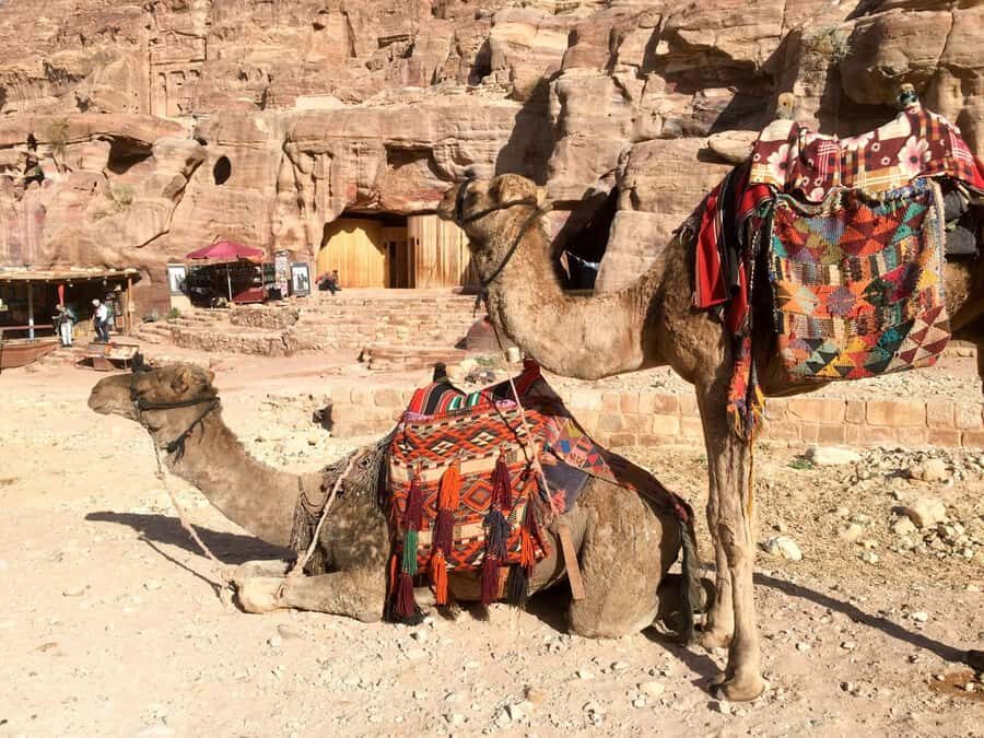 From Eilat: Petra Full-Day Guided Tour with Transfers - Meeting Point: Don’t Miss the Israel-Side Start