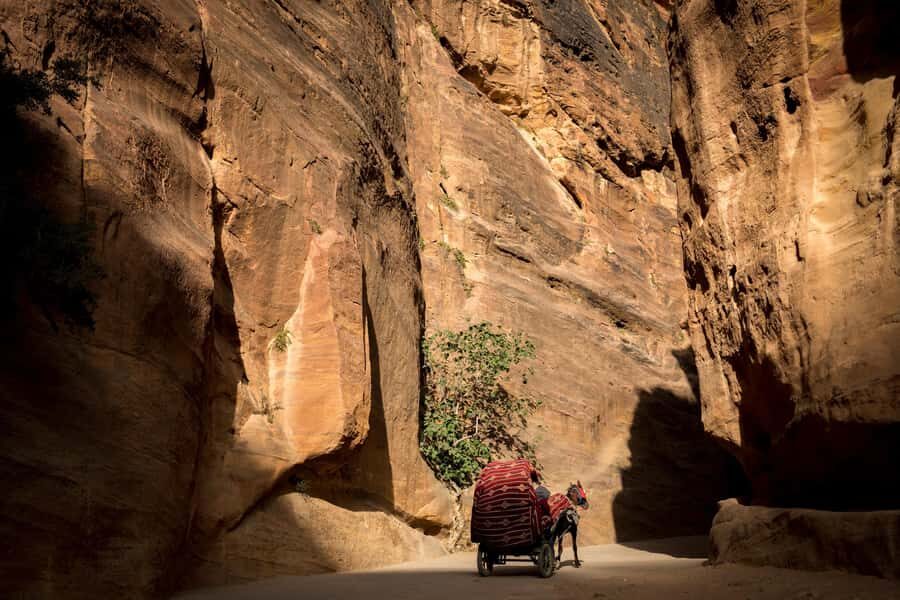 From Jerusalem: Petra 2-Day Tour - Price and Value: What $495 Covers (and What It Doesn’t)