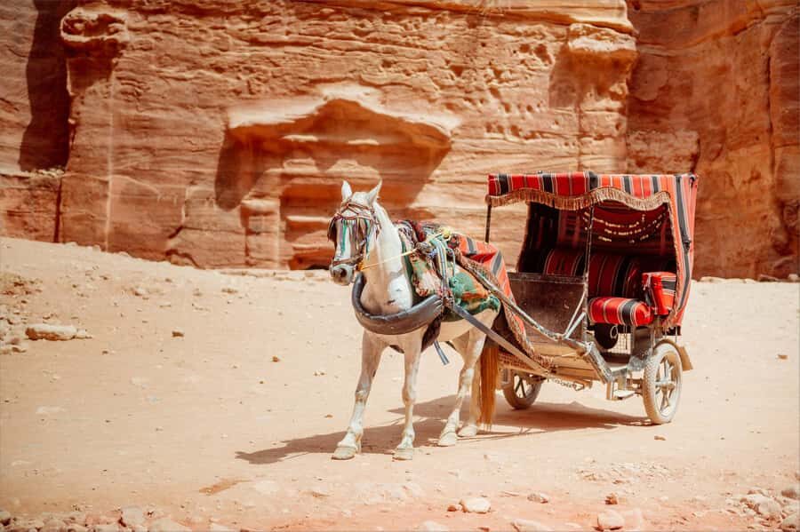 From Tel Aviv: Petra 1-Day Guided Tour with Transfers - Who this Petra day trip fits best