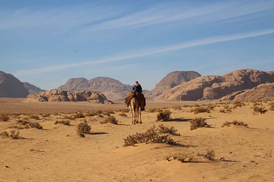 From Wadi Rum: Camel Ride Experience with Tea and Guide - Bedouin tea with your guide: what you gain besides the cup