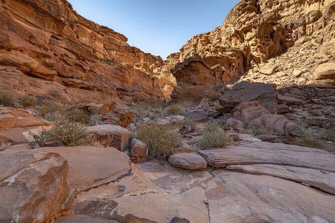 Full-Day 8 Hour Jeep Tour into Wadi Rum Protected Area with Stay - What to Expect Day-to-Night: A Practical Timing Feel