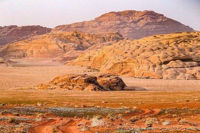 Full Day Jeep Tour with Overnight in beduin Camp Stay! (All Meals Included) - Overnight Bedouin camp: the part that makes it feel real