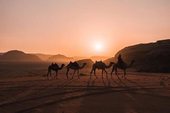 Full Day Jeep Tour with Overnight in beduin Camp Stay! (All Meals Included) - What could bother you (and how to handle it)