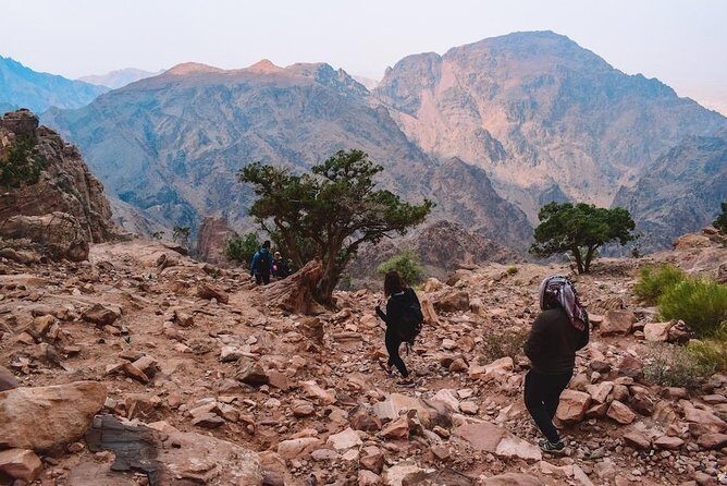 Full day Petra & Wadi Rum 01 hour stop in Dead Sea from Amman - Price and Value: Is $179.50 Fair for This Full Day?