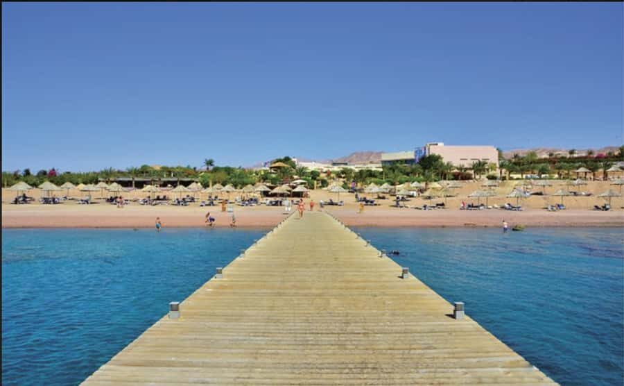 Glass Boat & Snorkeling with day use of Berenice Beach Club - Key points before you go