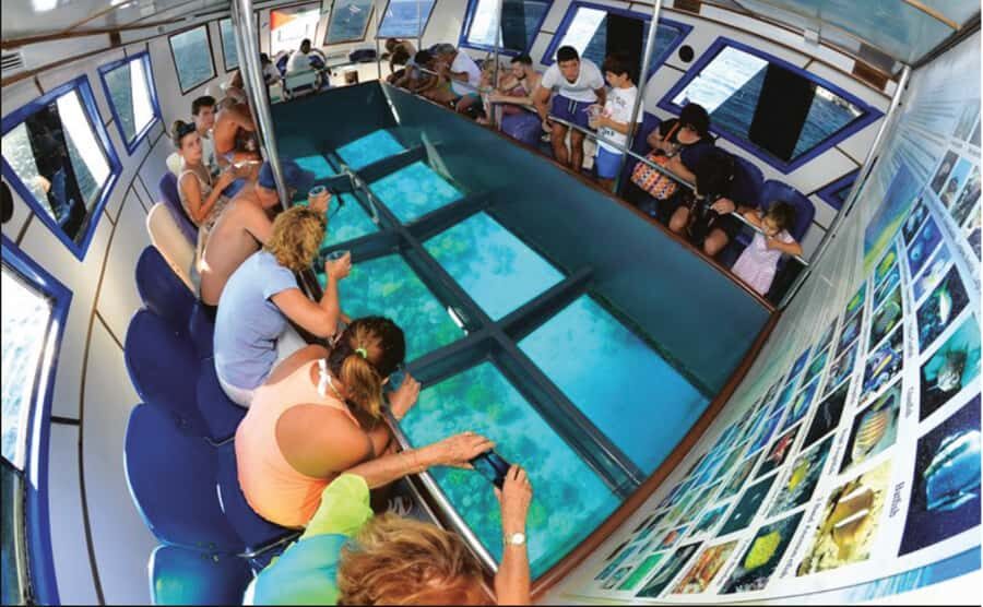 Glass Boat & Snorkeling with day use of Berenice Beach Club - A 2-hour Red Sea break that ends in beach-club comfort