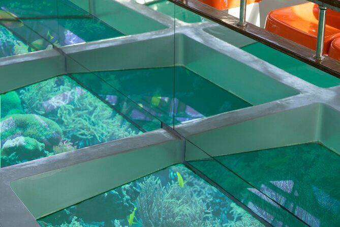 Glass-Bottom Boat 2-hours Tour and Coral-Reef Viewing from Aqaba - How the timing really feels: start at 5:00 pm, plan around light
