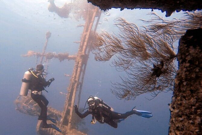 Guided Scuba Diving Adventure in Aqaba - Key highlights to know before you go