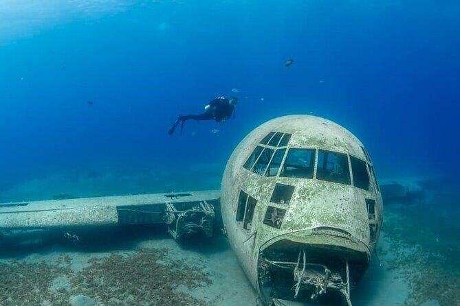 Guided Scuba Diving Adventure in Aqaba - Why Aqaba’s Red Sea makes this session worth your time