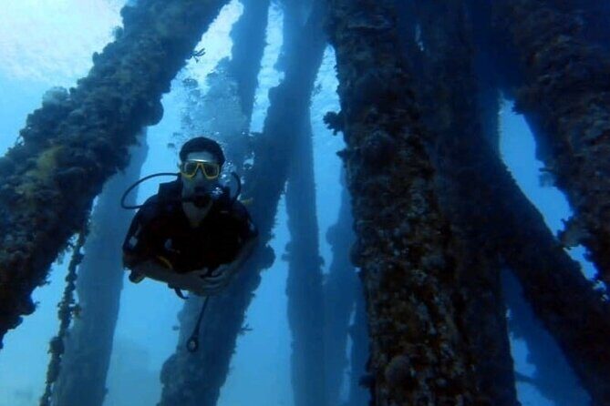 Guided Scuba Diving Adventure in Aqaba - Beginner training: how they set you up for success