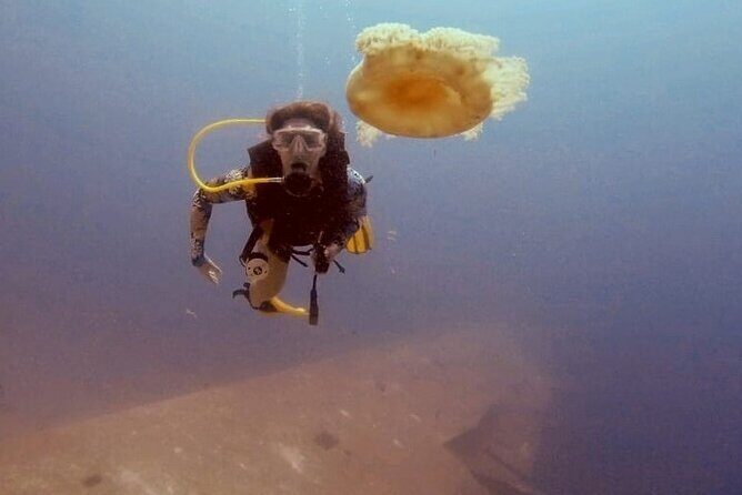Guided Scuba Diving Adventure in Aqaba - Timing and pickup: what the 2.5 hours feels like