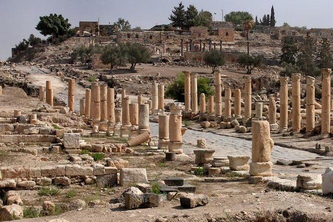 Jerash, Ajloun, and Umm Quais Full-Day Tour - The ride time: why the car part can make or break the day
