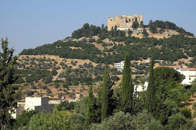 Jerash, Ajloun, Umm Qais Day Trip - Ajloun Castle: Saladin’s Fortress and the Best Chance for Big Views