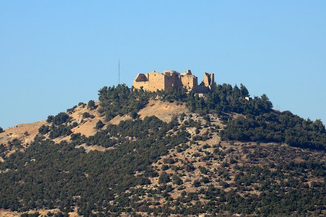 Jerash, Ajloun, Umm Qais Day Trip - Timing, Pace, and What a 5 to 8 Hour Day Really Means