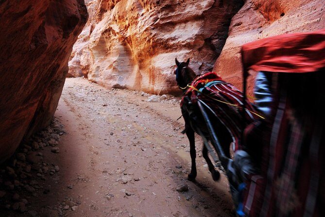 Jordan Private Driver Services | The Jordanian Mappers - Petra by choice, not by schedule