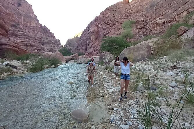 One Day Hiking Wadi Al Hasa Canyon - Price and value: $60 for a guide-led canyon day