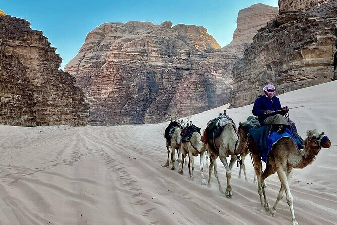 One Day Petra & Wadi Rum from Aqaba - The Real Petra Experience: What the Guide Helps You See