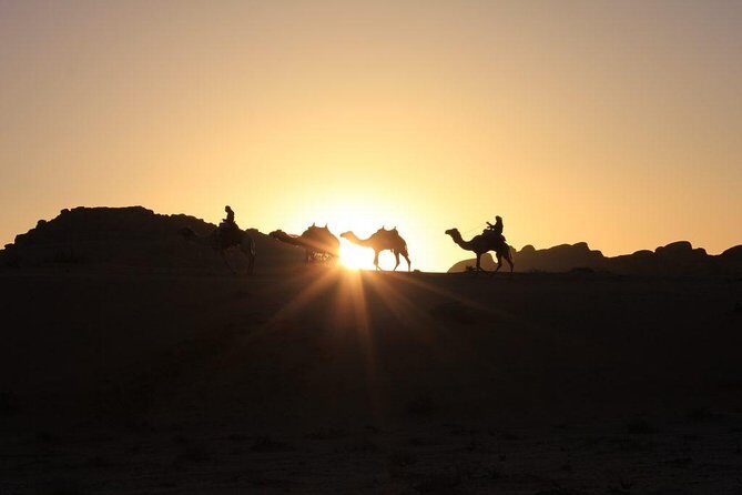 One Day Tour Wadi Rum - Price and group size: where $90 turns into real value