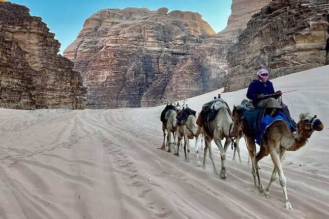 One Day Wadi Rum from Aqaba - Who should book this Wadi Rum trip from Aqaba