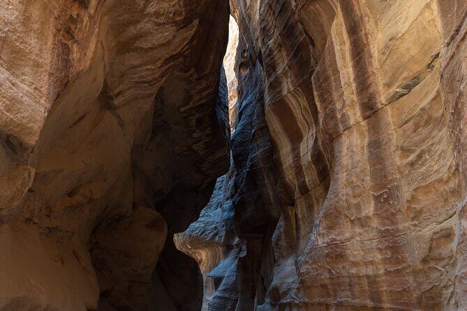 Petra 1 Day Tour from Aqaba - Provider Reliability: A Low-Rating Red Flag to Take Seriously