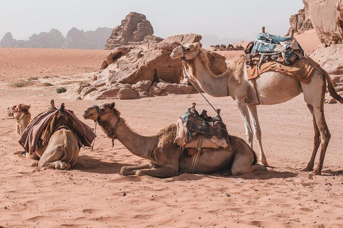 Petra and Wadi Rum in One Day | The Jordanian Mappers - Wadi Rum Sunset: The Light Reason People Come for the Desert