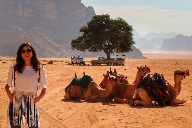 Petra & Dead Sea - One day Private tour - How the included driver experience changes the day