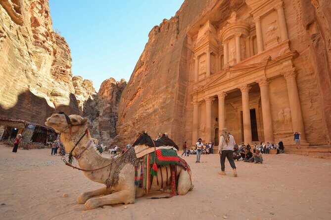 Petra & Dead Sea - One day Private tour - Who this tour fits best (and who might prefer something else)