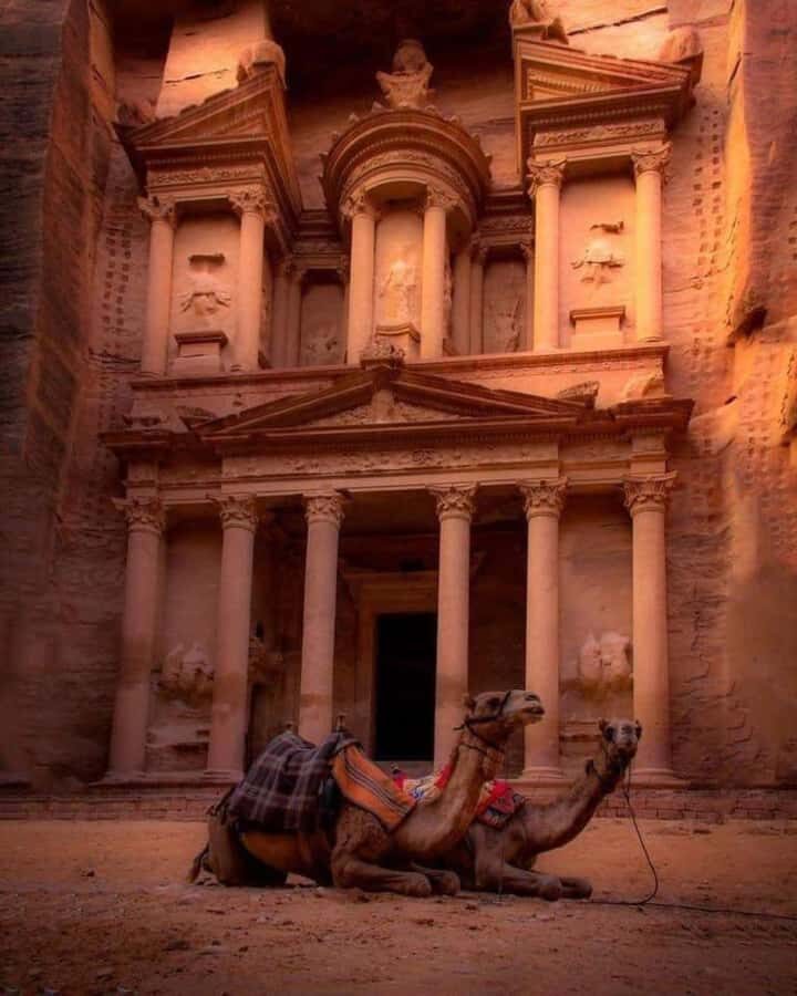Petra & Dead Sea Private day tour - Who should book this Petra and Dead Sea day tour