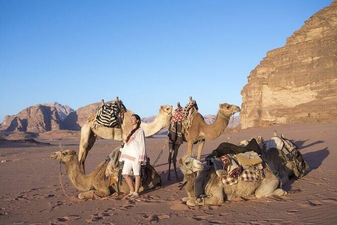 Private 5-Day Guided Tour of Jordan - Amman arrival and your first night: clean handoffs, real orientation