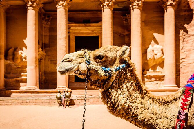 Private Full Day Tour from Amman to Petra City - Djinn blocks: squat monuments with a big-name legend