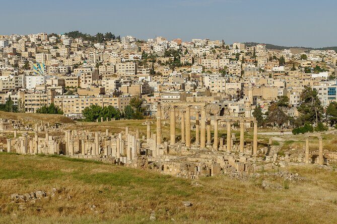 Private Half Day Tour in Jerash From Amman - Price and value: what $60 buys you (and what you should budget for)