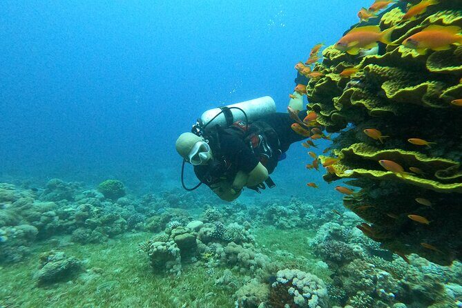 Private Scuba Diving Adventure in the Red Sea of Aqaba - Shore Time Logistics: How the 2-Hour Format Feels on the Ground