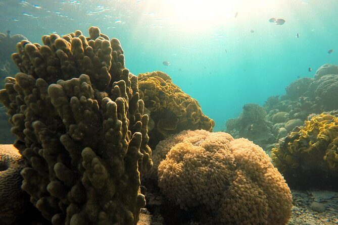 Private Scuba Diving Adventure in the Red Sea of Aqaba - The Best Part, According to Real Feedback: Instructors Who Keep You Calm