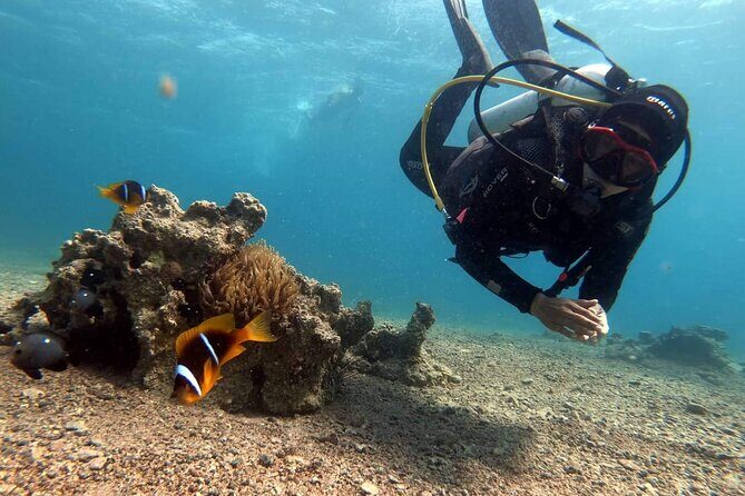 Private Scuba Diving Adventure in the Red Sea of Aqaba - Price and Value in Aqaba: Is $52.34 Worth It