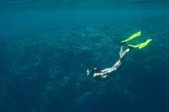 Private Snorkeling Experience in Aqaba Red Sea - Shore Practice: The Quiet Moment That Makes Snorkeling Feel Easy