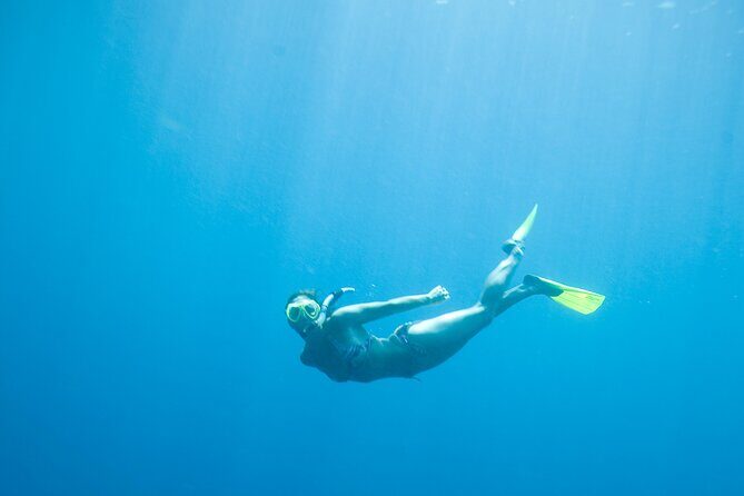 Private Snorkeling Experience in Aqaba Red Sea - Your Snorkeling Session: Wreck Sites and Marine Life