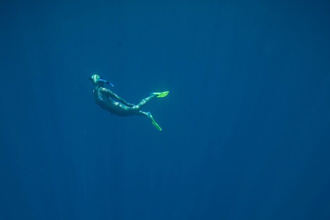 Private Snorkeling Experience in Aqaba Red Sea - Who This Private Snorkel Session Is Best For