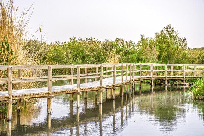 Private Tour of Desert Castles Eastern Jordan with optional Azraq Wetland Visit - Why Eastern Jordan’s Desert Castles Feel Like a Time Machine