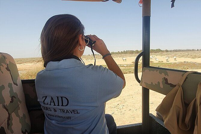 Private Tour of Desert Castles Eastern Jordan with optional Azraq Wetland Visit - Stop 1: Qusayr Amra’s UNESCO Frescoes and the Umayyad Lifestyle