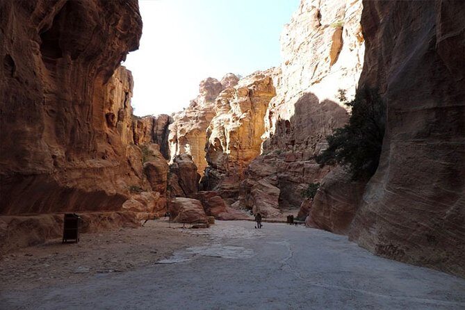 Private Tour: Petra and Little Petra Day Trip from Aqaba - Price and value: what you get for about $186.67 per person