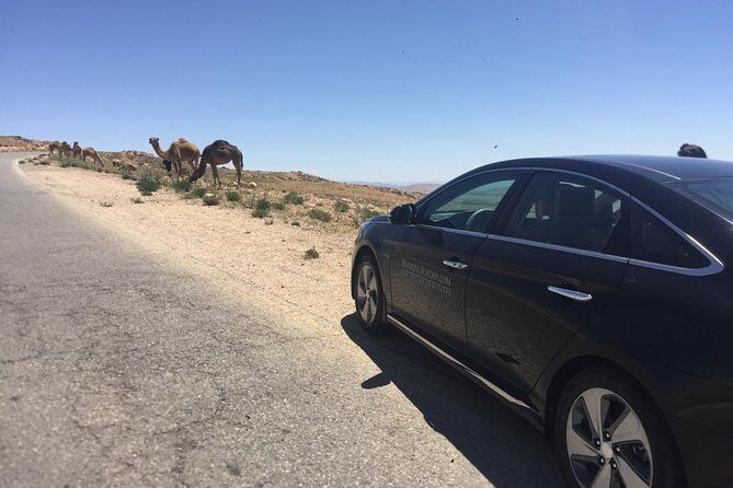 Private Transfer from Amman to Petra, Wadi Musa - Who This Transfer Suits Best (and Who Might Reconsider)