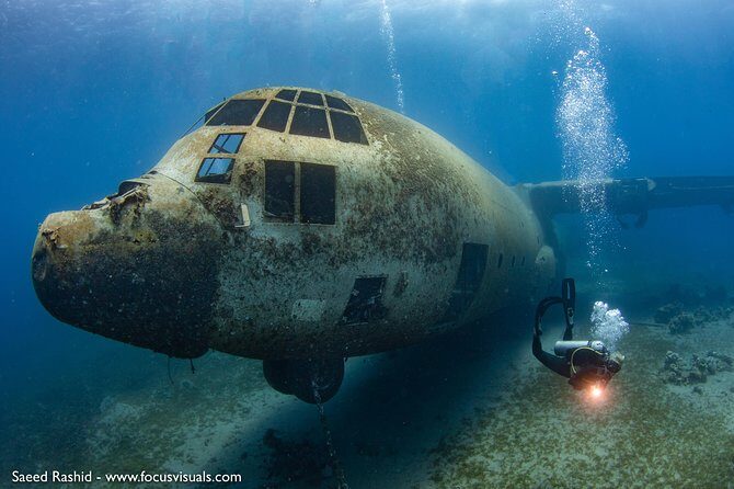 Scuba Diving for Certified Divers - Aqaba’s Red Sea Wrecks and Coral: What You’re Really Buying