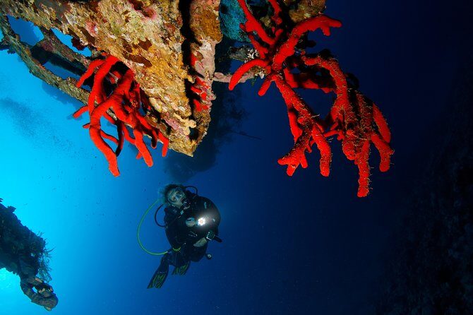Scuba Diving for Certified Divers - Sea Breeze’s Day-Flow: Boat Sessions, Guides, and Group Size