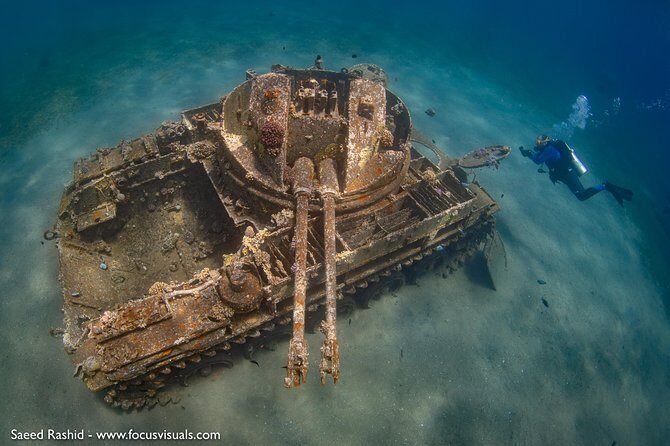 Scuba Diving for Certified Divers - Lunch On Board and Why the Timing Helps