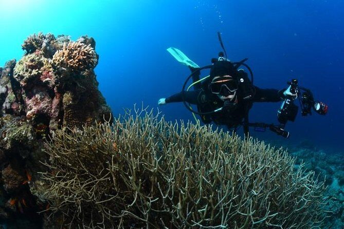 Shore Certified Diving - Two Dives - Crew and instruction: the names you’ll keep hearing