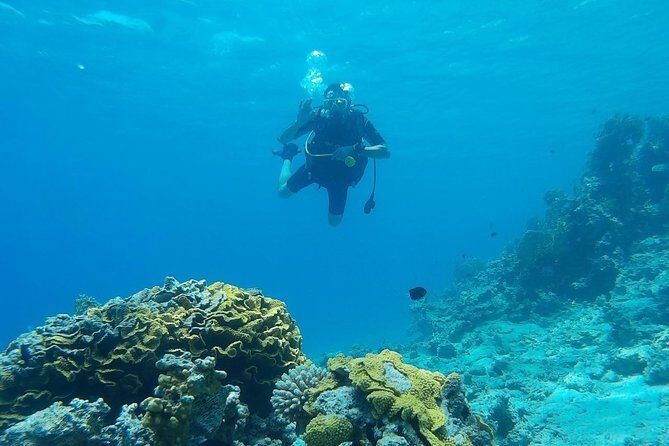 Shore Discover SCUBA Diving/Introductory Diving - One Dive - Getting to South Beach: how the 2 hours run