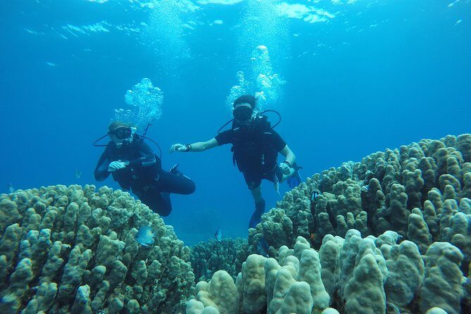 Shore Discover SCUBA Diving/Introductory Diving - One Dive - Gear check and fitting: the comfort part most people underestimate